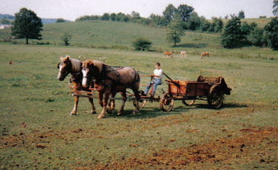 Jurgen aan het werk op een Amish-farm in Sugarcreek, Ohio. Een onvergetelijke ervaring zowel het werk met de paarden als het leven van de Amish bevolking 