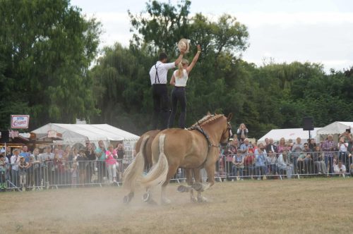 09db8eff-6e09-433e-b1ae-72141b98f956