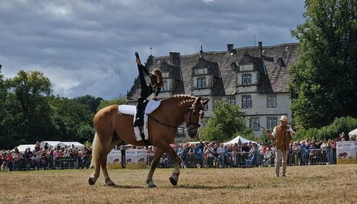 0a0f5b58-2c98-4ac0-881a-ef801ffe119e