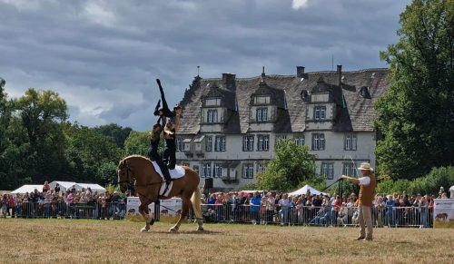 25e7b94b-22da-431e-9d47-b696449be3fc