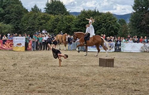 2f48dab1-89b5-4a72-9f56-42928b10d422