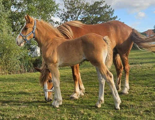 36972f23-d6ef-46a4-8c87-e8d8a7f3b6df