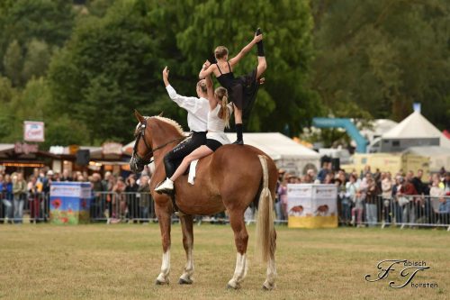 48bf6dfb-e1bb-4403-a884-129e828399a9