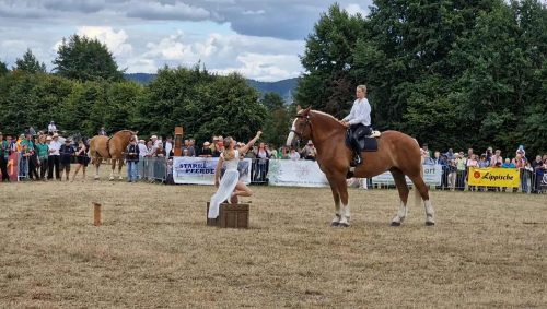 73494b1a-37c8-4159-b7f1-0bbeec195675