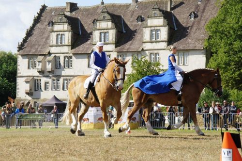 8f0d0332-00e9-4b28-acdc-35e4fe67011f