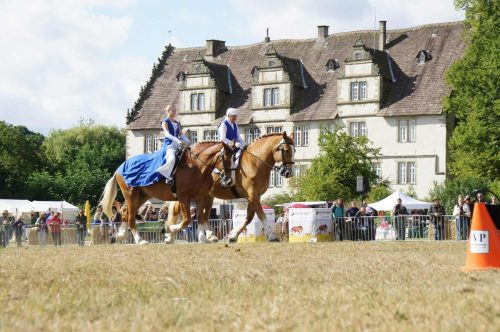 f4893d30-958b-4f85-8863-3aaf5514b8da