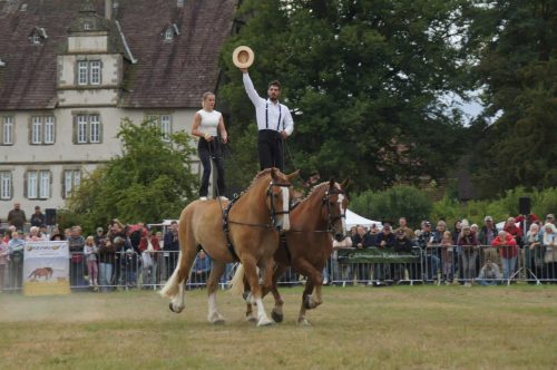 f92d1ab5-c3f6-4d9b-ac3e-b813a0912a55